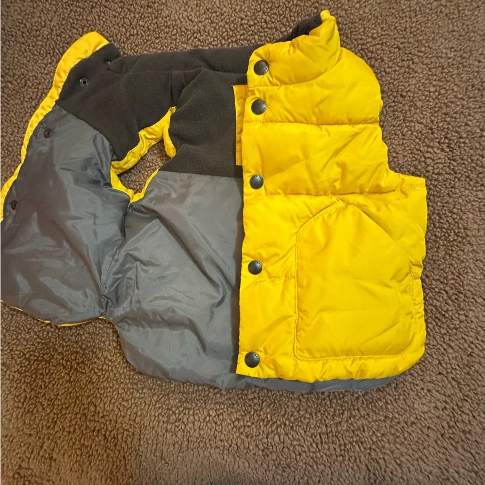 GAP-kids Vest Color: Yellow 18-24 Months